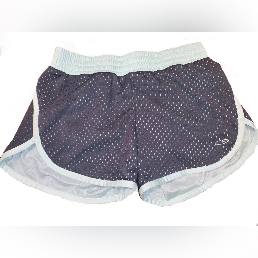 Champion DuoDry Gray and Blue Athletic Shorts